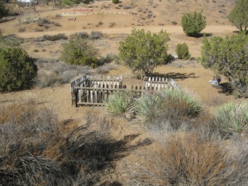 Collins,   James Ford  Rustand. gravesite