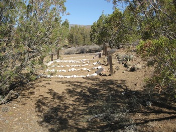 Guild,   Michael W. gravesite