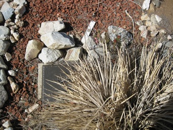 Shippy,   Donald Lawrence gravesite