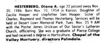 Hesterberg, Diane Alisa obituary