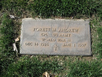 Andrew,   Forest Marcellus gravesite
