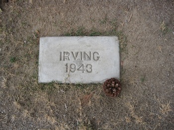 Irving,   Peter LeRoy gravesite