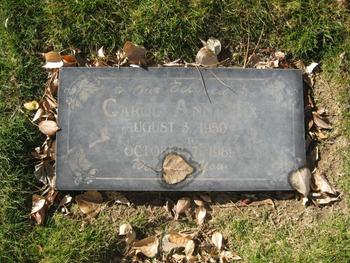 Hix,   Carol Ann gravesite