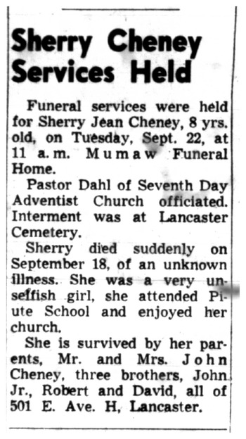 Cheney,   Sherry Jean obituary