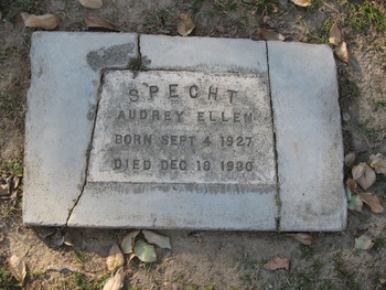 Specht,   Audrey Ellen gravesite