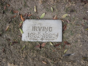 Irving,   Arden Eugene gravesite